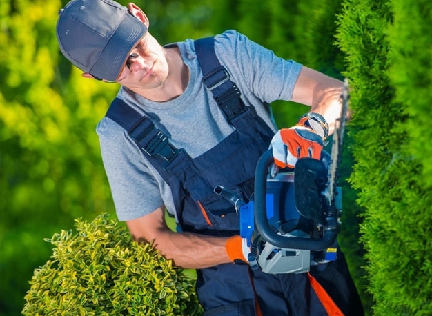 hedge-trimming
